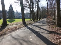 Schaapsallee from Laag-Soeren