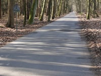 Schaapsallee from Laag-Soeren