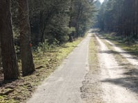 Bruisbeek von Landgoed Boshul
