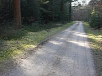 Bruisbeek von Landgoed Boshul