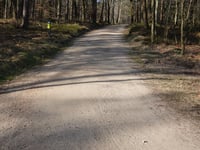 Bruisbeek von Landgoed Boshul