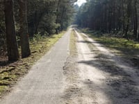 De Kouwerik von Landgoed Boshul
