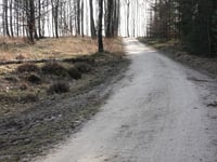 De Kouwerik von Landgoed Boshul