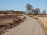 De Kouwerik from Loenermark