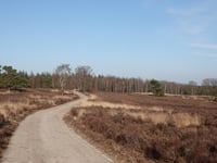 De Kouwerik from Loenermark