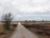 Aardmansberg über Hofweg