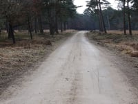 Aardmansberg über Hofweg