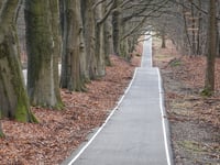 Aardmansberg über Hofweg