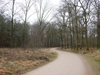 Hoge Duvel depuis Apeldoorn