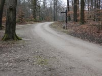 Hoge Duvel depuis Apeldoorn