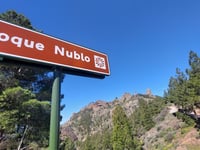 Pico de las Nieves
