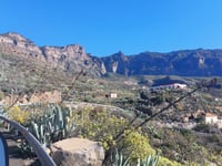 Pico de las Nieves