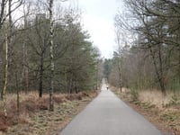 Galgenberg von Vaassen