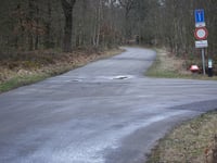 Boshuisweg von Gortel