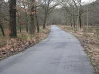 Boshuisweg von Gortel