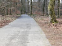 Boshuisweg von Gortel