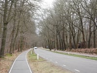 Berg en Bos depuis Apenheul
