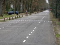 Asselsestraat from Apeldoorn
