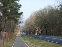 De Knobbel / Woldberg da 't Harde