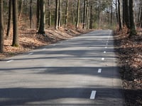 Ossenberg vanuit De Dellen
