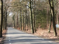 Ossenberg vanuit De Dellen