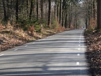 Ossenberg vanuit De Dellen