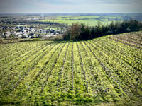 Côte du Petit Beauvais