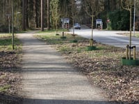Vuursteenberg par Hessenweg