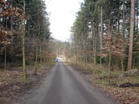 Wachtelenberg von Hattem