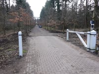 Wachtelenberg von Hattem