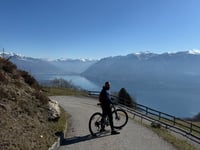 Mergugno von Brissago