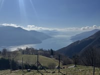 Mergugno von Brissago