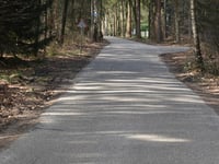 Burgemeester Honcooplaan from Wapenveld