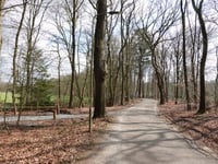 Burgemeester Honcooplaan from Wapenveld