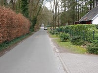 Petrea über Parkweg