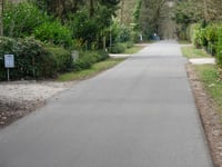 Petrea über Parkweg