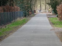 Petrea über Parkweg