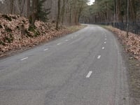 Filipsberg da Wapenveld