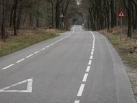 Filipsberg desde Wezep