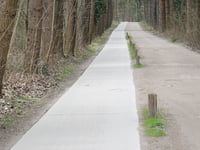 Het Zwolsche Bosch da Wapenveld