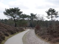 Tonnenberg da Heerde