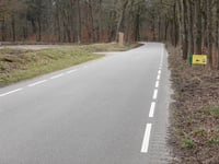 De Dellen por Nieuwe Zuidweg