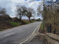 Izigerstee