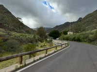 Tahodio von Santa Cruz de Tenerife