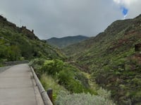 Tahodio von Santa Cruz de Tenerife