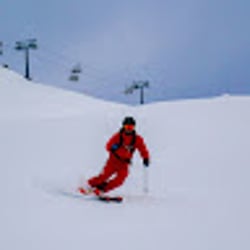 RobinF24
