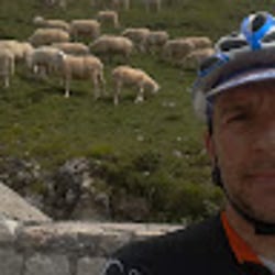 diegom31