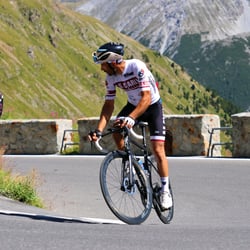 Francesco