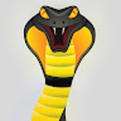 SnakezF1