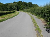 Aachener Wald über Bischof-Hemmerle-Weg